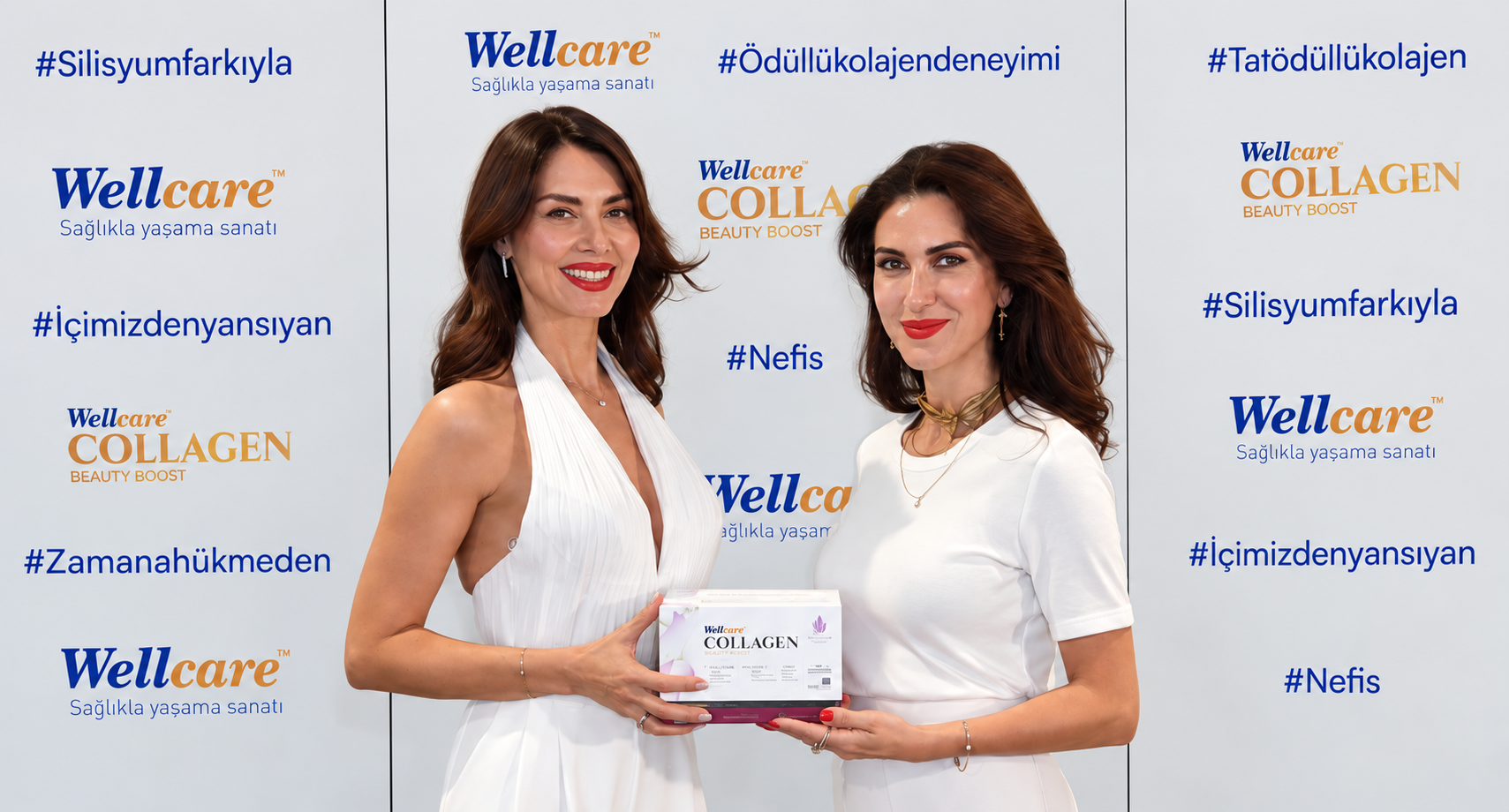 Wellcare — Wellcare — Lansman
